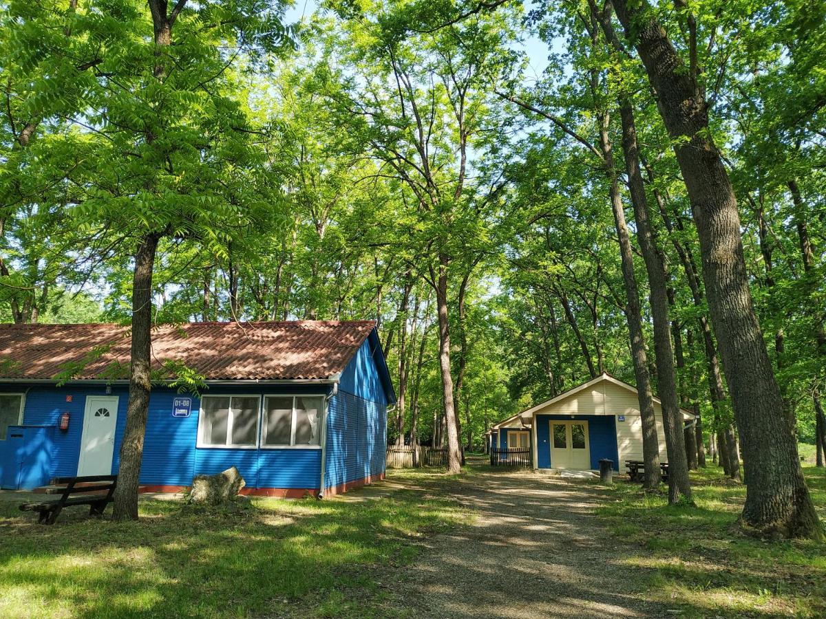 Готель Dorcas Center&Camping Дебрецен Екстер'єр фото